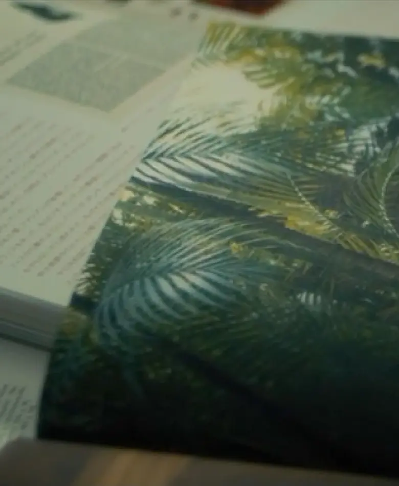 Ao fundo temos um livro com textos ilegíveis e acima desse livro temos uma foto de paisagem